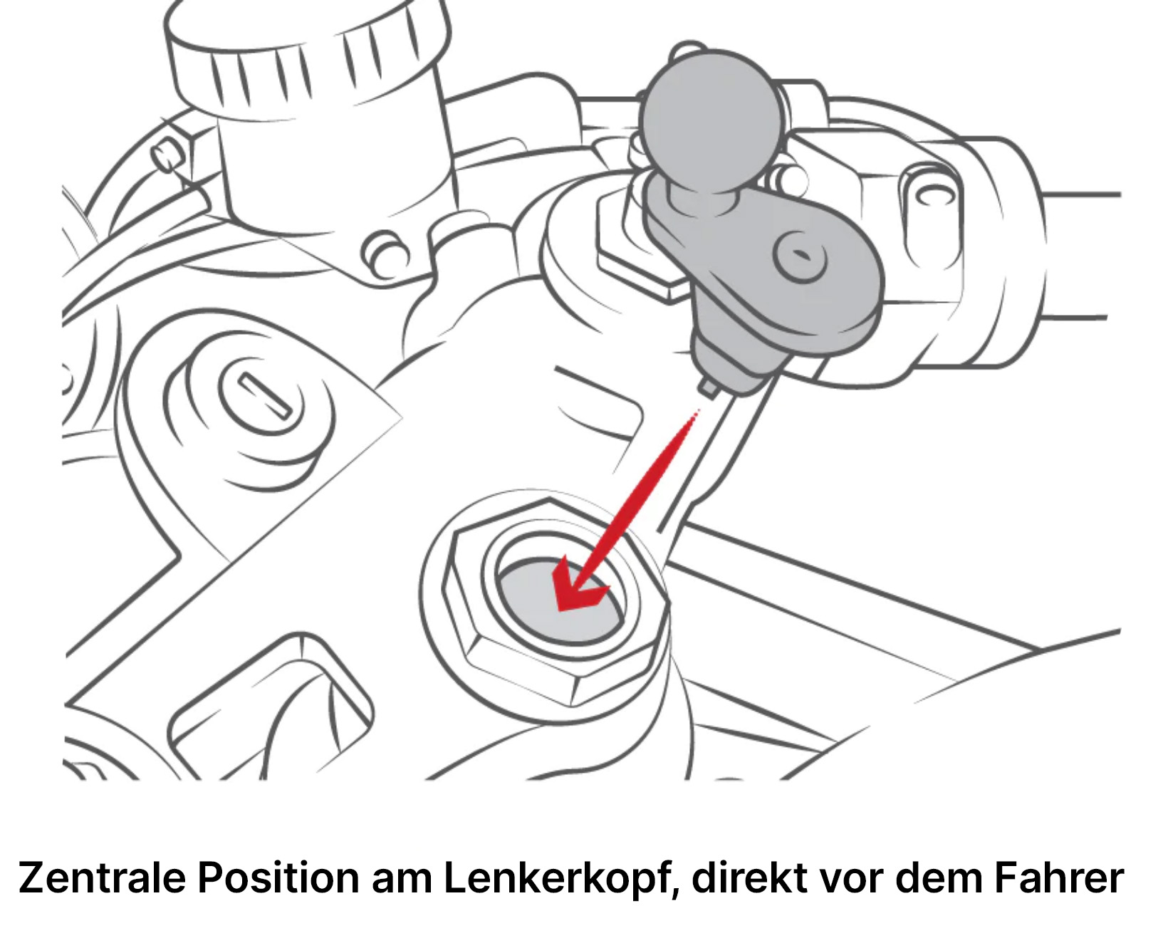 RAM-B-176-A-UN10U Large-X-Grip®Motorradhalterung mit Gabelschaftadapter 5